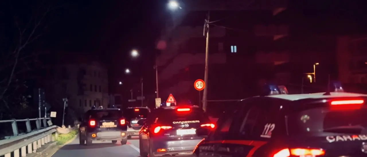 ‘Ndrangheta, blitz contro i clan della costa ionica: 44 arresti, c’è anche un sindaco, il suo vice e il presidente del Consiglio comunale