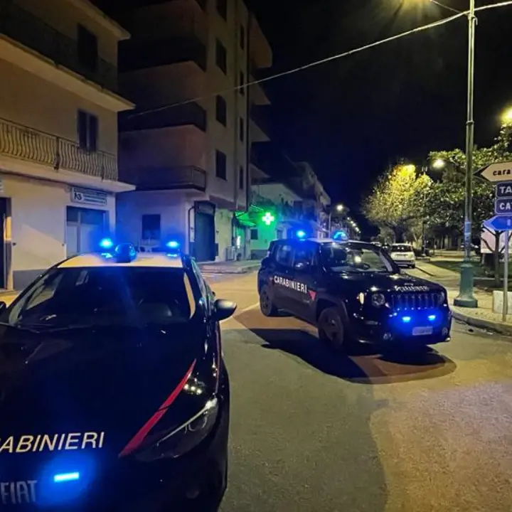 'Ndrangheta, blitz sulla costa ionica: gli affari del clan, la latitanza del boss e il coinvolgimento della politica - NOMI
