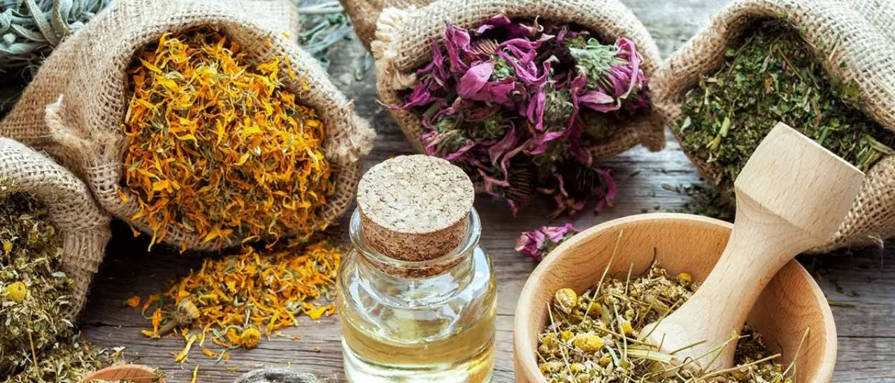 A Limbadi un convegno sulle erbe della salute per la cura del corpo e della mente