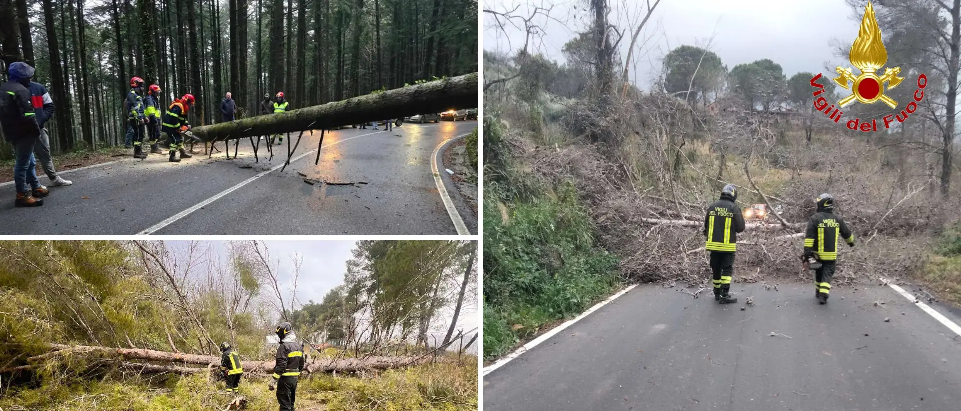 Maltempo nel Vibonese, alberi e pali caduti sulle strade per il forte vento: numerosi interventi dei vigili del fuoco