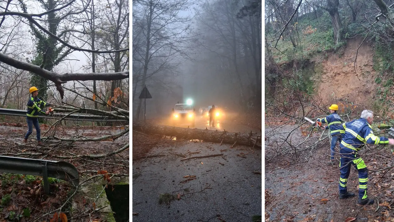 Nardodipace, rami e alberi abbattuti dal vento: i volontari della Prociv liberano le strade e scongiurano l’isolamento del comune