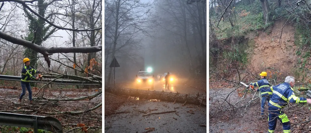 Nardodipace, rami e alberi abbattuti dal vento: i volontari della Prociv liberano le strade e scongiurano l’isolamento del comune