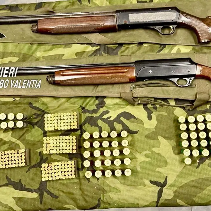 I carabinieri di Mileto sequestrano due fucili e munizioni, arrestati due fratelli