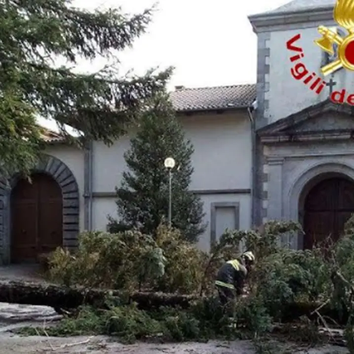 Maltempo nel Vibonese: la furia del vento abbatte un albero davanti alla Certosa di Serra San Bruno