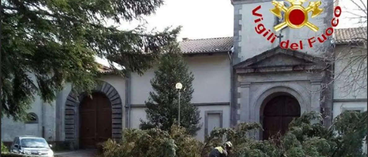 Maltempo nel Vibonese: la furia del vento abbatte un albero davanti alla Certosa di Serra San Bruno