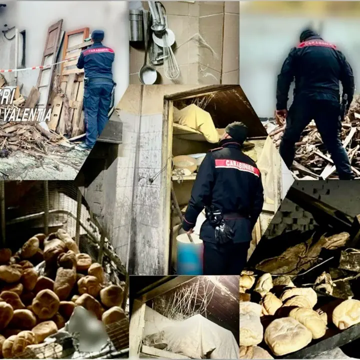 Era stato già beccato ma continuava a fare il pane tra topi e rifiuti: denunciato un fornaio di Vibo Marina - FOTO