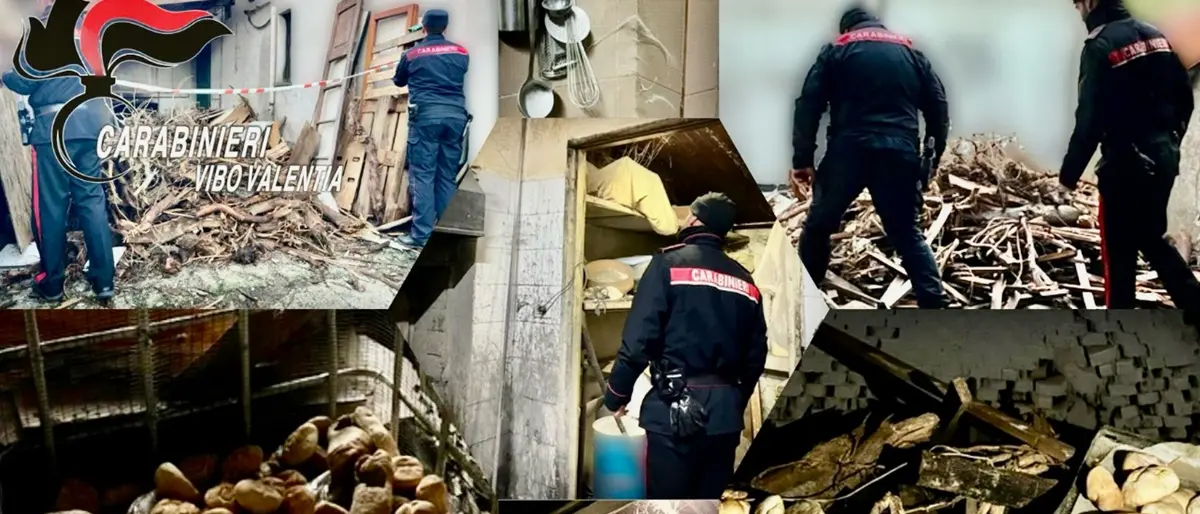 Era stato già beccato ma continuava a fare il pane tra topi e rifiuti: denunciato un fornaio di Vibo Marina - FOTO