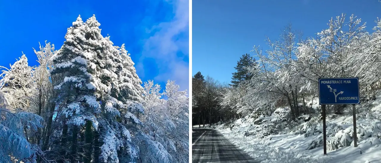 La neve continua a cadere sui monti vibonesi, mezzi in azione sulla strada tra Mongiana e Nardodipace - VIDEO/FOTO