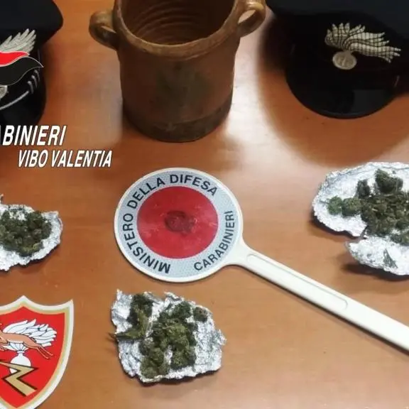 Spaccio di marijuana, i carabinieri arrestano un 22enne di Acquaro