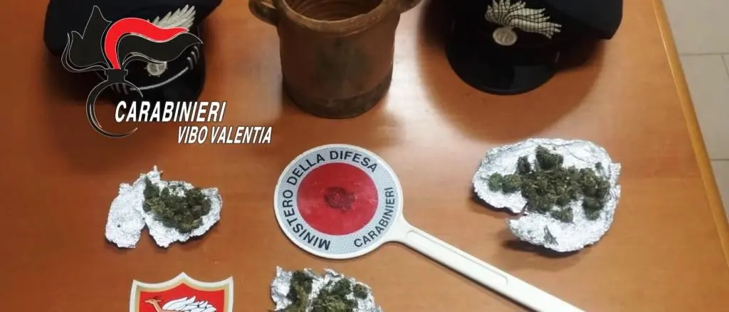 Spaccio di marijuana, i carabinieri arrestano un 22enne di Acquaro
