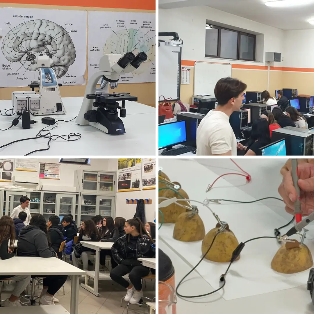 Vibo, il liceo scientifico Berto apre le porte alle famiglie con l'Open day: quattro gli indirizzi proposti