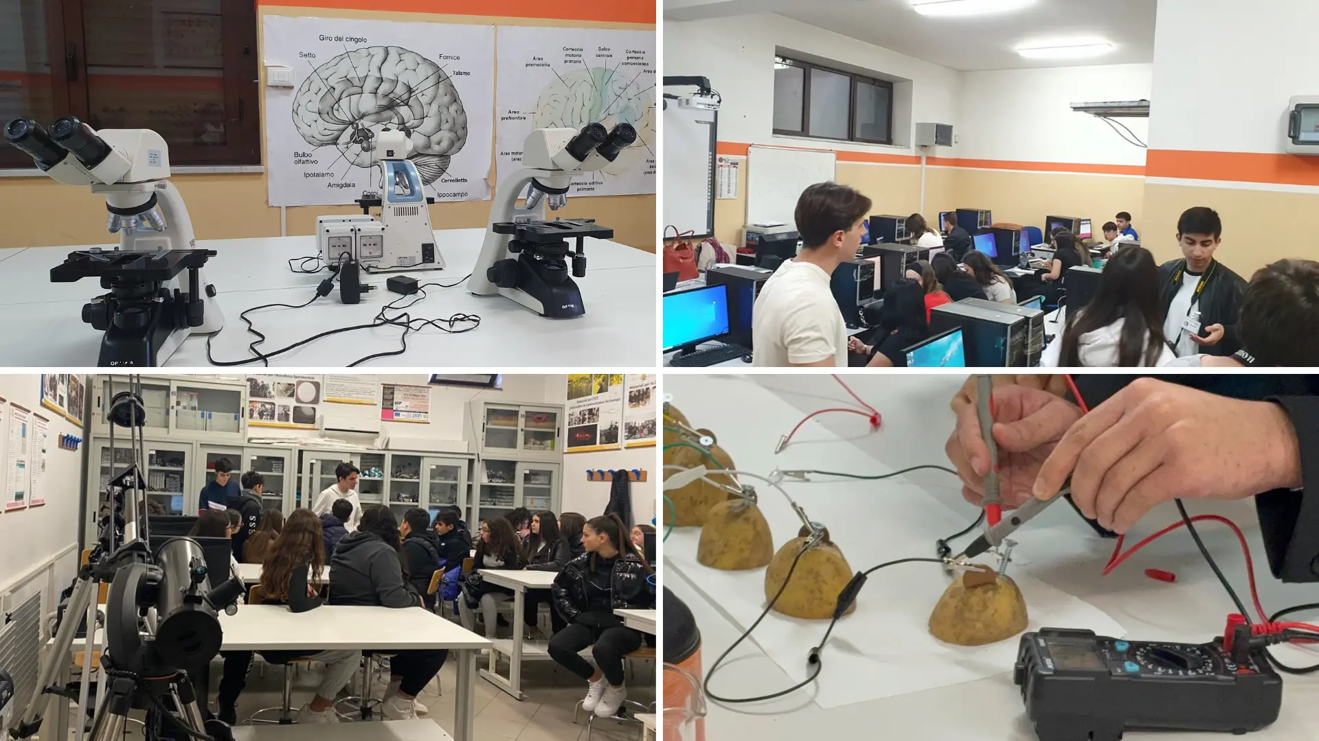 Vibo, il liceo scientifico Berto apre le porte alle famiglie con l'Open day: quattro gli indirizzi proposti