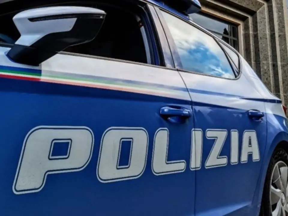 Vibo, spara a un cane con una carabina ad aria compressa ferendolo a un occhio: beccato dalle telecamere è stato denunciato dalla Polizia