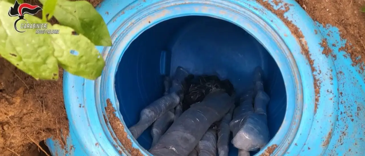 Maxi-sequestro nella Piana di Gioia Tauro: scoperto arsenale sotterrato e 6 chili di cocaina
