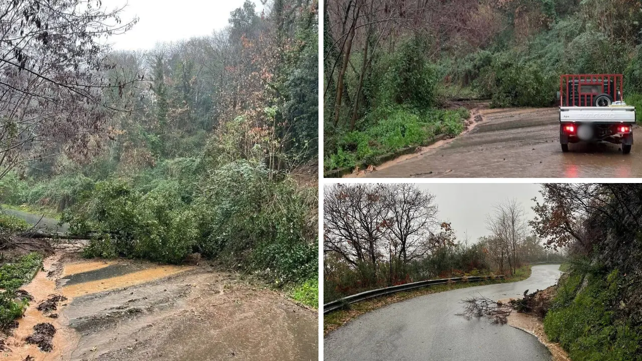 Il maltempo fa danni nel Vibonese, frane e smottamenti nelle aree interne: le immagini da Dinami
