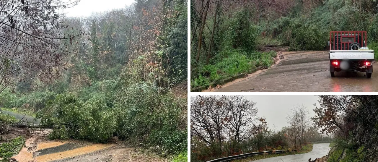 Il maltempo fa danni nel Vibonese, frane e smottamenti nelle aree interne: le immagini da Dinami