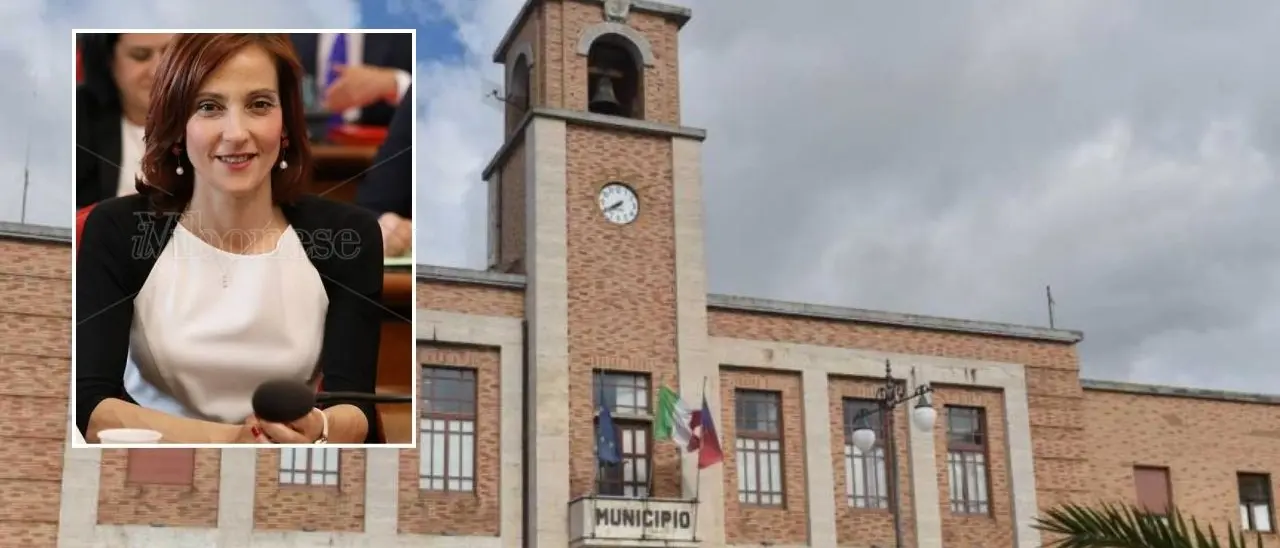 L'Ats di Vibo vara il regolamento costitutivo e scongiura il commissariamento, l'assessore Scrugli: «Procedimento laborioso»