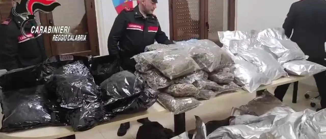Blitz antidroga a Gioia Tauro, sequestrati 80 chili di marijuana e materiale pirotecnico - VIDEO
