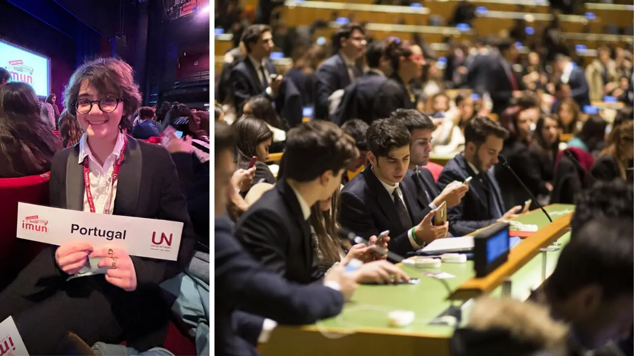 Piccoli diplomatici crescono, studentessa del liceo Morelli di Vibo si fa onore alla simulazione internazionale di una seduta dell'Onu