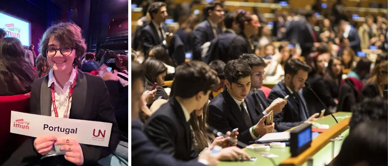 Piccoli diplomatici crescono, studentessa del liceo Morelli di Vibo si fa onore alla simulazione internazionale di una seduta dell'Onu