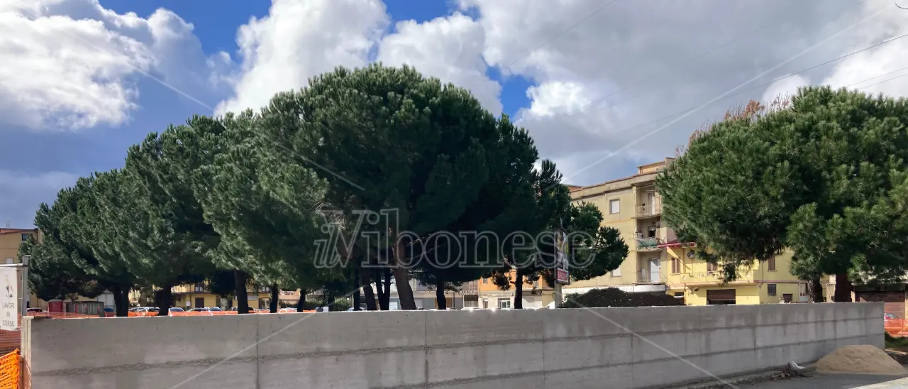 «Muro del pianto? No, sarà bellissimo»: l’assessore Monteleone spiega ritardi e futuro di piazza Gaetano Salvemini (consorzio agrario)