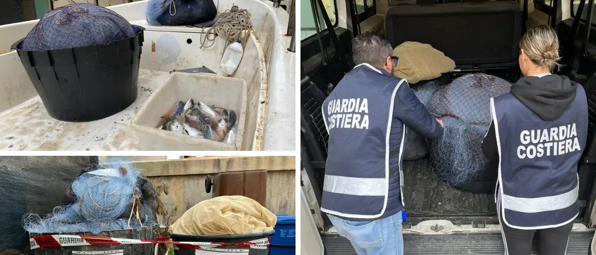 Pesca illegale, la Capitaneria di Vibo sequestra reti e 15 chili di pesce: sanzioni per 2mila euro