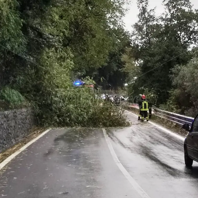Allerta rossa, a Vibo chiusi sottopassi e strade. Fossi e torrenti “osservati speciali” - Video
