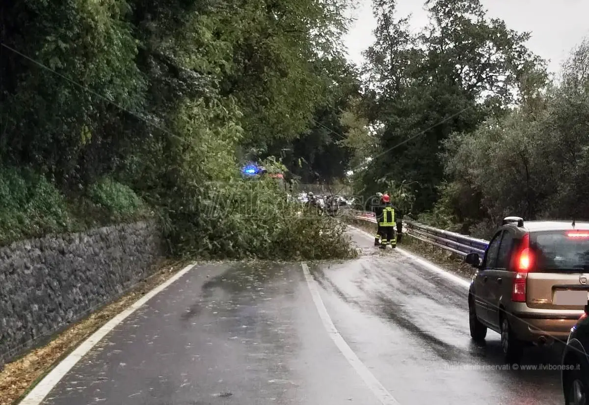 Allerta rossa, a Vibo chiusi sottopassi e strade. Fossi e torrenti “osservati speciali” - Video