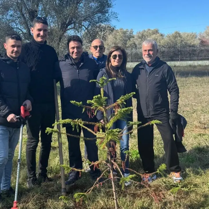 Vibo diventa più verde, 32 nuovi alberi piantati grazie all'iniziativa del Comune