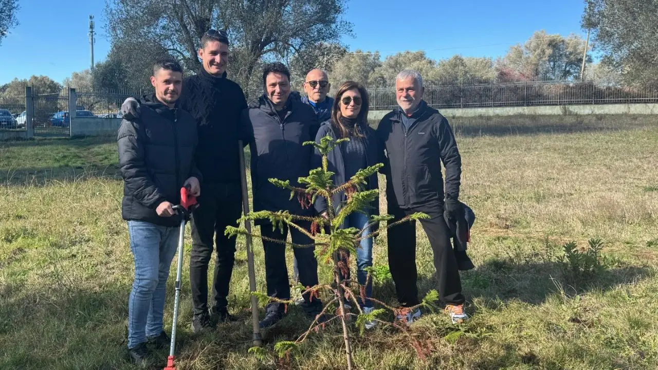 Vibo diventa più verde, 32 nuovi alberi piantati grazie all'iniziativa del Comune