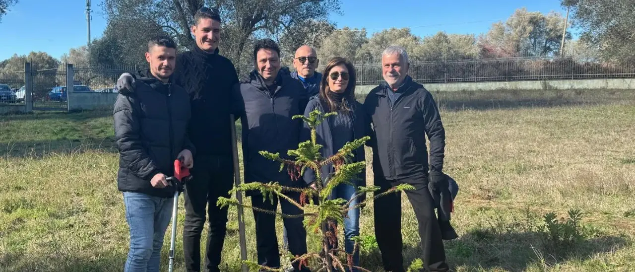 Vibo diventa più verde, 32 nuovi alberi piantati grazie all'iniziativa del Comune