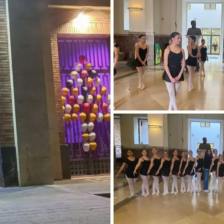 Giornata dell’epilessia, il Comune di Vibo si colora di viola e ospita l’esibizione delle studentesse del liceo Capialbi