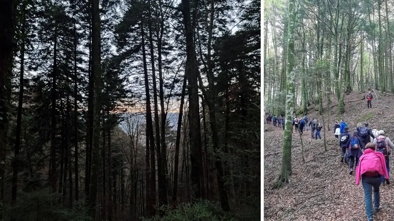 Trekking, l’associazione Vivi Serra San Bruno alla scoperta del tratturo borbonico