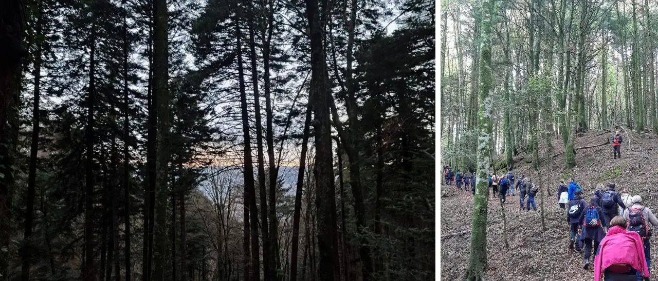 Trekking, l’associazione Vivi Serra San Bruno alla scoperta del tratturo borbonico