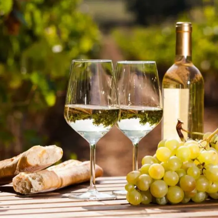 Tutto pronto a Verona (e poi al Vinitaly) per la presentazione della Doc Costa degli Dei per i vini da Magliocco Canino e Zibibbo