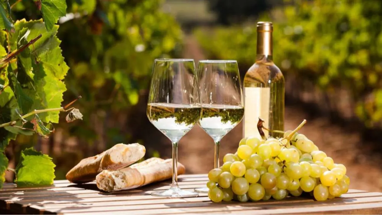 Tutto pronto a Verona (e poi al Vinitaly) per la presentazione della Doc Costa degli Dei per i vini da Magliocco Canino e Zibibbo