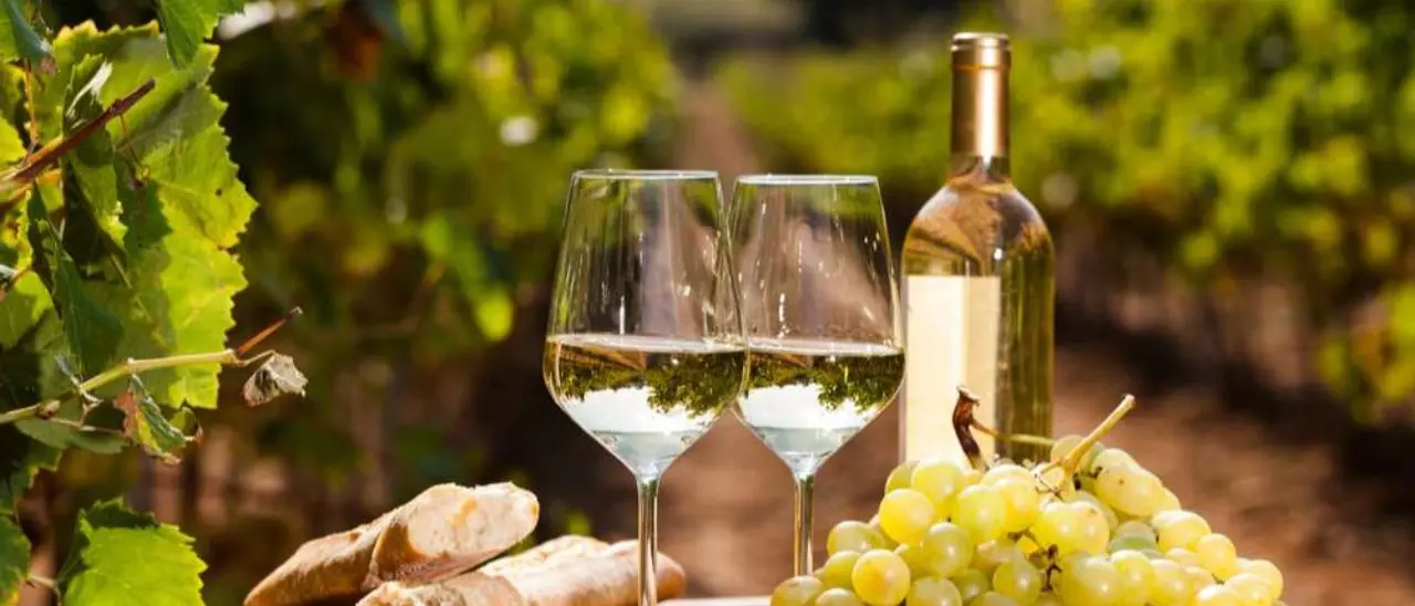 Tutto pronto a Verona (e poi al Vinitaly) per la presentazione della Doc Costa degli Dei per i vini da Magliocco Canino e Zibibbo