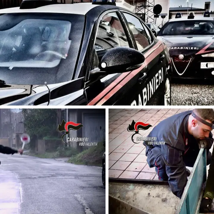 Carabinieri in azione, operazione di controllo ad “alto impatto” sul territorio vibonese: chiuso un bar a San Calogero