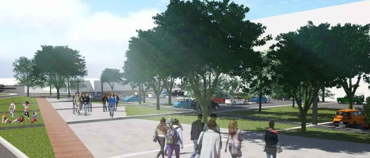 Pini di piazza Salvemini (consorzio agrario), arriva la “sentenza” del Comune: «Vanno abbattuti, non c’è alternativa»