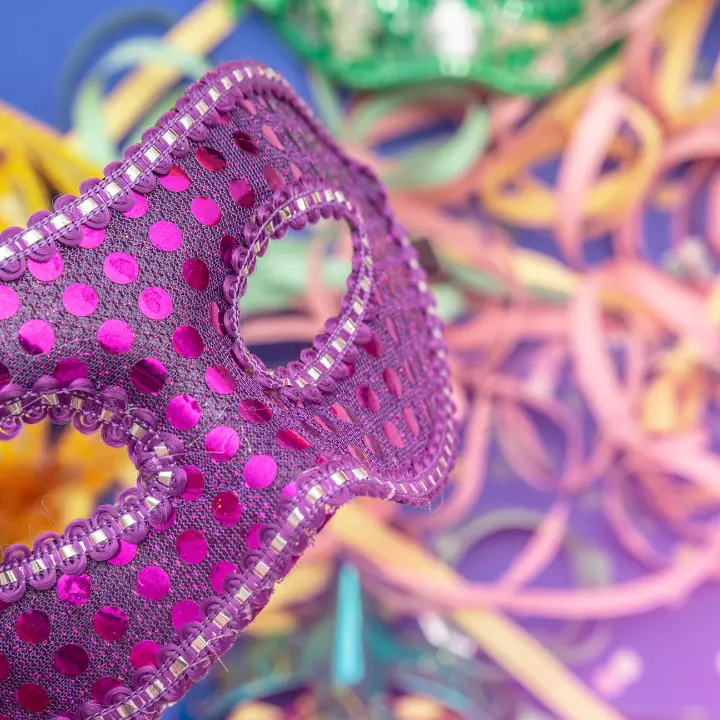 Carnevale 2025, il Comune di Vibo presenta il programma: si parte sabato dalle frazioni, poi martedì il gran finale