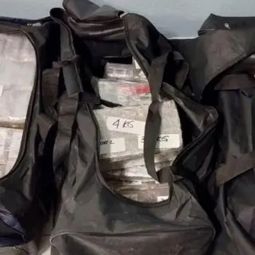 Narcotraffico e riciclaggio: i ruoli di sei indagati del Vibonese, da Nicotera a Milano all’ombra del clan Mancuso