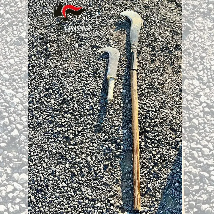 Pizzo, fermato dai carabinieri con due roncole in auto: denunciato