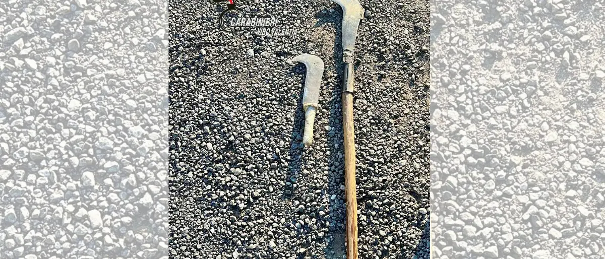 Pizzo, fermato dai carabinieri con due roncole in auto: denunciato