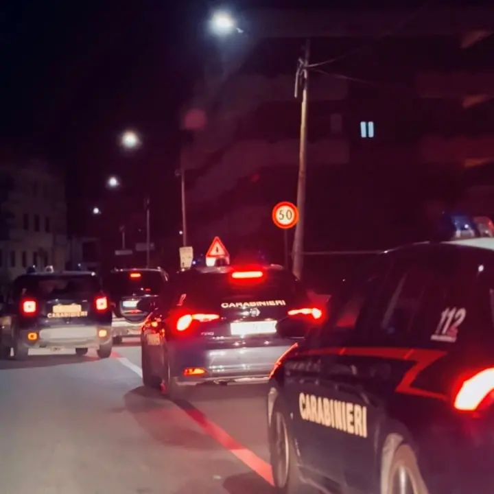 Operazione “Alto impatto” tra Mileto e Francica, i sindaci ringraziano i carabinieri: «Così si riporta legalità sui nostri territori»