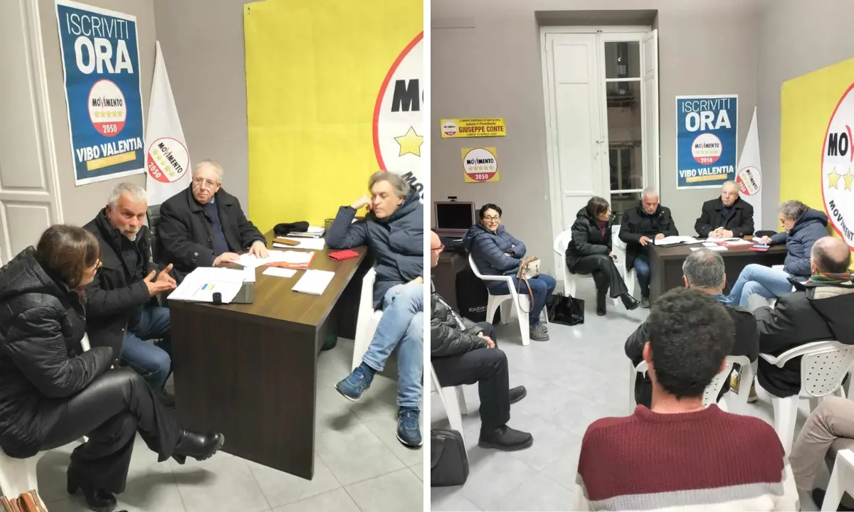 Vibo, il M5s sprona l'assessore Monteleone: «Sull'ambiente non facciamo sconti a nessuno, evitare il taglio indiscriminato degli alberi»