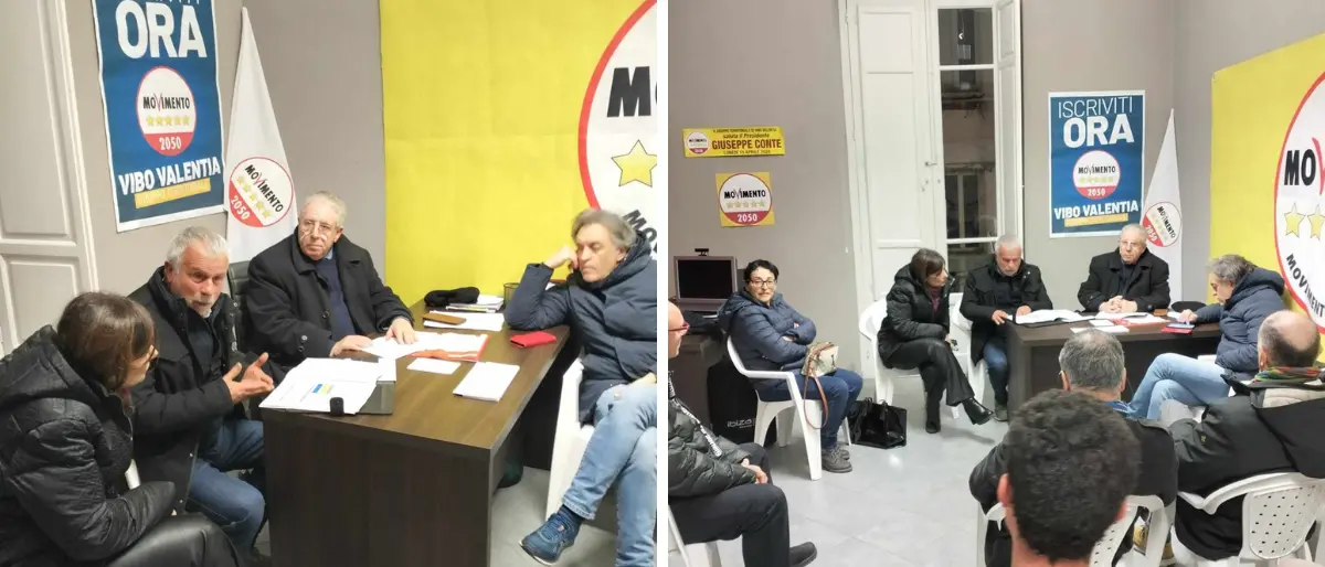 Vibo, il M5s sprona l'assessore Monteleone: «Sull'ambiente non facciamo sconti a nessuno, evitare il taglio indiscriminato degli alberi»