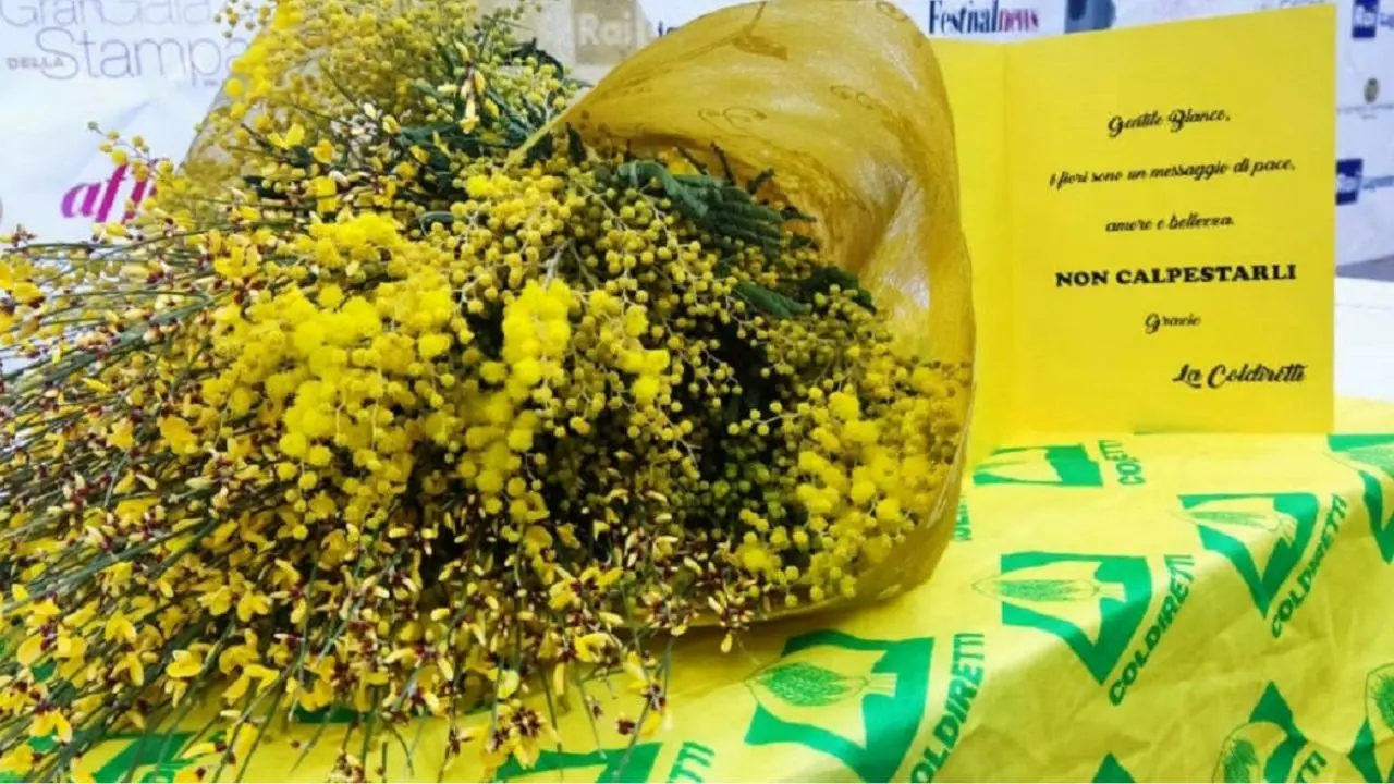 Coldiretti celebra le donne e cita l'esempio dell'imprenditrice vibonese che combatte il caporalato