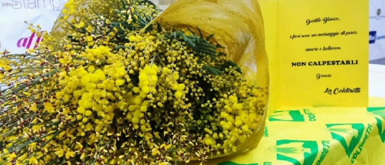 Coldiretti celebra le donne e cita l'esempio dell'imprenditrice vibonese che combatte il caporalato