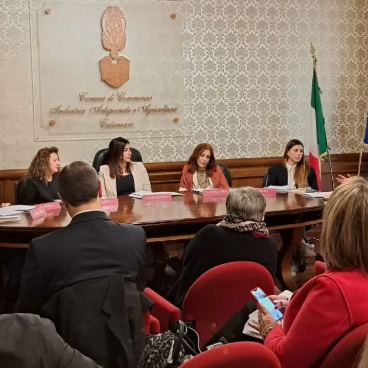 Imprenditoria femminile: la Camera di commercio vara il bando Womer4me-ntoring con uno sguardo anche ai Centri antiviolenza