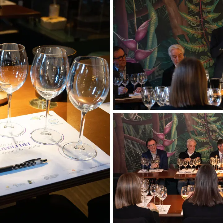 Magliocco canino e Zibibbo conquistano il Veneto: i vini della Costa degli Dei a Verona aspettando la Doc